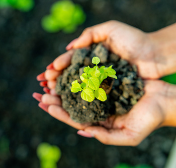 Инженерные биологические системы: междисциплинарное образование в школах - fgospostavki.ru - Санкт-Петербург