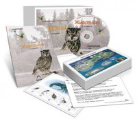Комбинированное наглядное пособие «Животные» - fgospostavki.ru - Санкт-Петербург