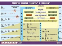Таблица демонстрационная "Сравнение понятий изомер и гомолог" (винил 70x100) - fgospostavki.ru - Санкт-Петербург