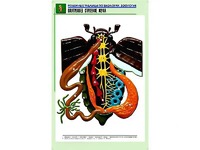 Рельефная таблица "Внутреннее строение жука" (формат А1, матовое ламинирование) - fgospostavki.ru - Санкт-Петербург
