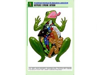 Рельефная таблица "Внутреннее строение лягушки" (формат А1, матовое ламинирование) - fgospostavki.ru - Санкт-Петербург