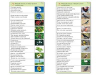 Комплект карточек (10) "Обучающий калейдоскоп. Природа" - fgospostavki.ru - Санкт-Петербург