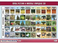 Таблица демонстрационная "Почвы, растения и животные природных зон" (винил 70*100) - fgospostavki.ru - Санкт-Петербург