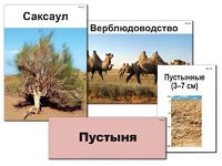 Модель-аппликация "Природные зоны России" (ламинированная) - fgospostavki.ru - Санкт-Петербург
