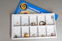 Коллекция "Раковины моллюсков" - fgospostavki.ru - Санкт-Петербург