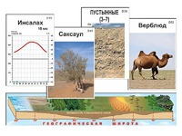 Модель-аппликация "Природные зоны" - fgospostavki.ru - Санкт-Петербург