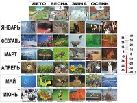 Фенологические наблюдения - fgospostavki.ru - Санкт-Петербург