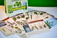 Гербарий к курсу основ общей биологии - fgospostavki.ru - Санкт-Петербург