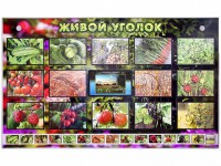 Комплект оборудования "Живой уголок" (растения) с тифлопереводом и сурдокомментариями - fgospostavki.ru - Санкт-Петербург