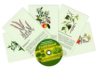 Интерактивный наглядный комплекс "Гербарий "Для начальной школы" - fgospostavki.ru - Санкт-Петербург