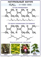 Комплект демонстрационных таблиц по химии "Полимеры" (комплект 12 таблиц) - fgospostavki.ru - Санкт-Петербург