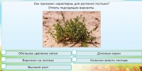 Интерактивные курсы. Окружающий мир 3 класс . Базовый. - fgospostavki.ru - Санкт-Петербург