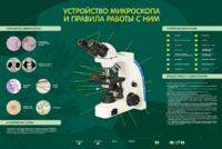 Электрифицированный стенд "Устройство микроскопа и правила работы c ним" - fgospostavki.ru - Санкт-Петербург