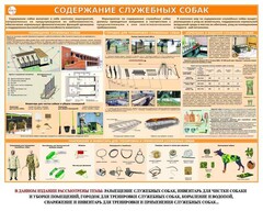 Комплект плакатов "Кинология" - fgospostavki.ru - Санкт-Петербург