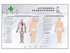 Электрифицированный стенд "Остановка кровотечения" - fgospostavki.ru - Санкт-Петербург