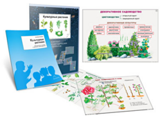 Комплект кодотранспарантов "Культурные растения" - fgospostavki.ru - Санкт-Петербург