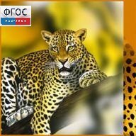 Зоология. (Цифровая база изображений) - fgospostavki.ru - Санкт-Петербург
