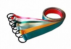Лента гимнастическая на кольце (1 метр) - fgospostavki.ru - Санкт-Петербург