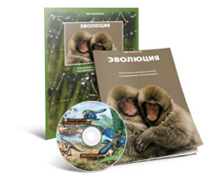 Электронное наглядное пособие «Эволюция» - fgospostavki.ru - Санкт-Петербург