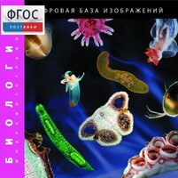 Биология. Микрофотографии. (Цифровая база изображений) - fgospostavki.ru - Санкт-Петербург