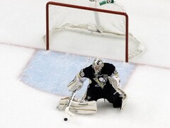 Гашение (отбойники) для хоккейных ворот - fgospostavki.ru - Санкт-Петербург