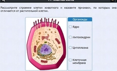 Интерактивные курсы. Биология 8 класс. Базовый - fgospostavki.ru - Санкт-Петербург