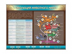 Интерактивный электрифицированный стенд "Эволюция животного мира" - fgospostavki.ru - Санкт-Петербург