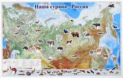 Магнитные карточки "Животные" - fgospostavki.ru - Санкт-Петербург
