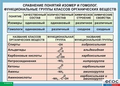 Таблица. Сравнение понятий изомер и гомолог. Функциональные группы классов органических веществ. - fgospostavki.ru - Санкт-Петербург
