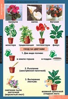 Комплект таблиц. Окружающий мир 1 класс. - fgospostavki.ru - Санкт-Петербург