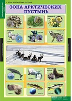 Комплект таблиц. Окружающий мир 4 класс. - fgospostavki.ru - Санкт-Петербург