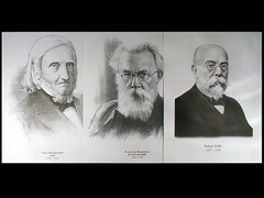 Портреты биологов (26 штук, формат А3) - fgospostavki.ru - Санкт-Петербург