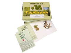 Гербарий "Для начальной школы" (30 видов, с иллюстрациями) - fgospostavki.ru - Санкт-Петербург