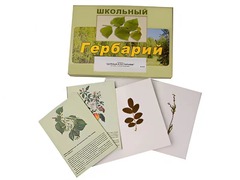 Гербарий "Деревья и кустарники" (22 вида, с иллюстрациями) - fgospostavki.ru - Санкт-Петербург