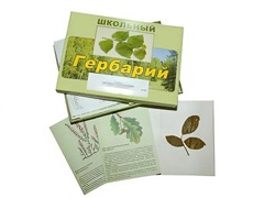 Гербарий "Дикорастущие растения" (30 видов, с иллюстрациями) - fgospostavki.ru - Санкт-Петербург