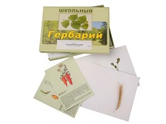Гербарий "Культурные растения" (30 видов, с иллюстрациями) - fgospostavki.ru - Санкт-Петербург