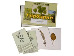 Гербарий "Лекарственные растения" (22 вида с иллюстрациями) - fgospostavki.ru - Санкт-Петербург