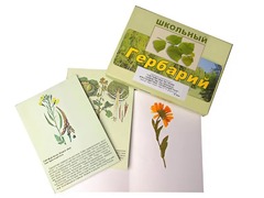 Гербарий "Систематика растений. Семейство Пасленовые. Крестоцветные. Сложноцветные" (раздаточный) - fgospostavki.ru - Санкт-Петербург