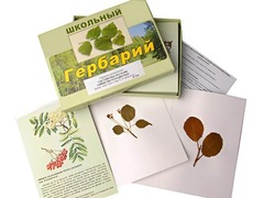 Гербарий "Систематика растений. Семейство Розоцветные" (раздаточный) - fgospostavki.ru - Санкт-Петербург