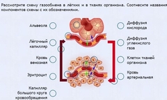 Интерактивные курсы. Биология 9 класс. Расширенный. - fgospostavki.ru - Санкт-Петербург
