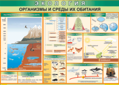 Таблица "Организмы и среды их обитания" (100х140 сантиметров, винил) - fgospostavki.ru - Санкт-Петербург