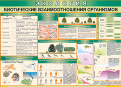 Таблица "Биотические взаимоотношения организмов" (100х140 сантиметров, винил) - fgospostavki.ru - Санкт-Петербург