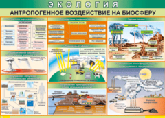Таблица "Антропогенное воздействие на биосферу" (100х140 сантиметров, винил) - fgospostavki.ru - Санкт-Петербург