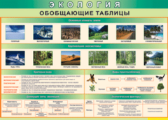 Таблица "Экология. Обобщающие таблицы" (100х140 сантиметров, винил) - fgospostavki.ru - Санкт-Петербург