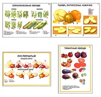 Плакаты ПРОФТЕХ "Ассортимент овощных культур" (12 пл, винил, 70х100) - fgospostavki.ru - Санкт-Петербург