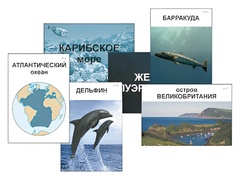 Модель-аппликация "Океаны. Знакомство" (ламинированная) - fgospostavki.ru - Санкт-Петербург