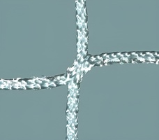 Сетка заградительная ячейка (нить 3,5 мм) (40х40 мм) - fgospostavki.ru - Санкт-Петербург