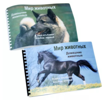 Пособие для слабовидящих - Домашние животные - fgospostavki.ru - Санкт-Петербург