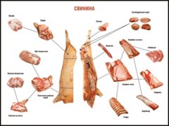 Таблица "Правила разделки мясных туш. Свинина" (100х140 сантиметров. винил) - fgospostavki.ru - Санкт-Петербург
