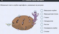 Интерактивные курсы. Биология 6 класс. Расширенный - fgospostavki.ru - Санкт-Петербург
